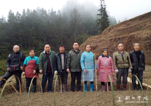 我校高健强副教授研究成果“燕飞1号”土人参实现规模化生产