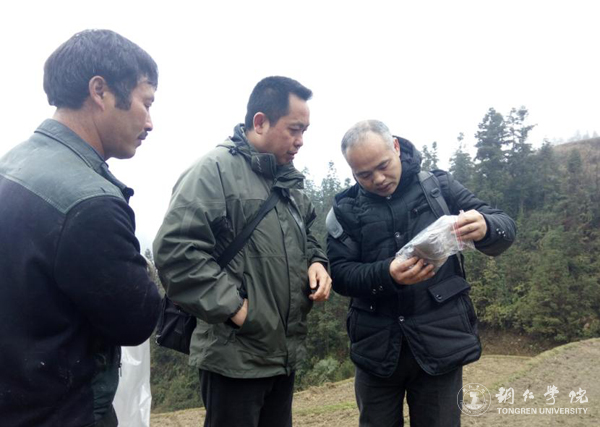 我校高健强副教授研究成果“燕飞1号”土人参实现规模化生产