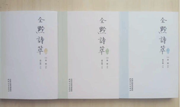 久久99精品久久久久久久不卡
