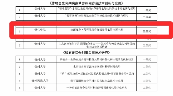 久久99精品久久久久久久不卡