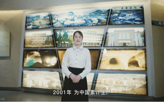 久久99精品久久久久久久不卡