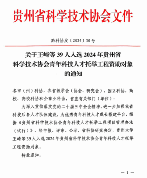 久久99精品久久久久久久不卡