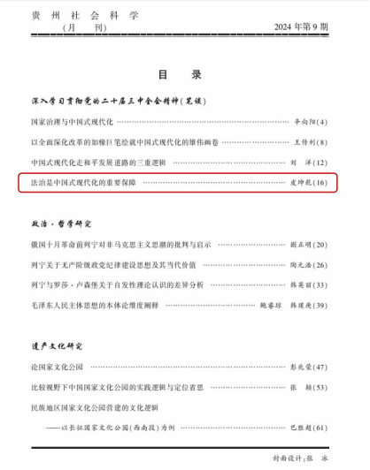 久久99精品久久久久久久不卡