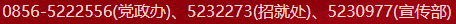 久久99精品久久久久久久不卡