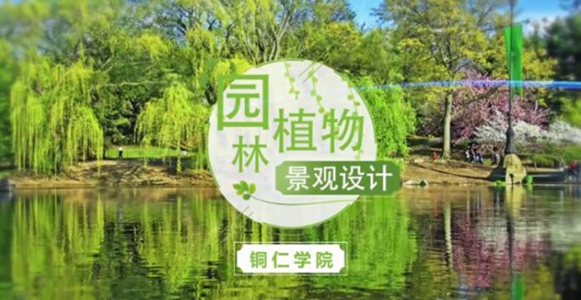图片9.jpg