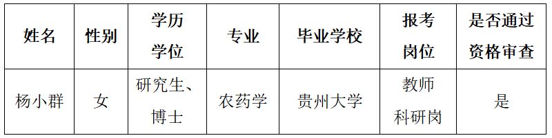 久久99精品久久久久久久不卡