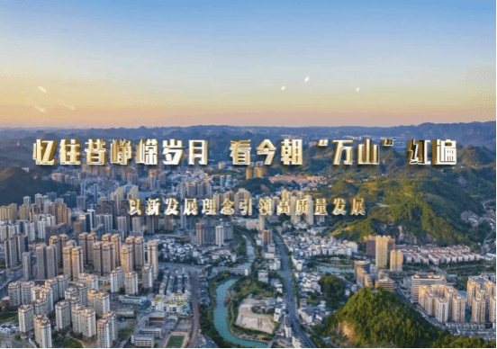 久久99精品久久久久久久不卡