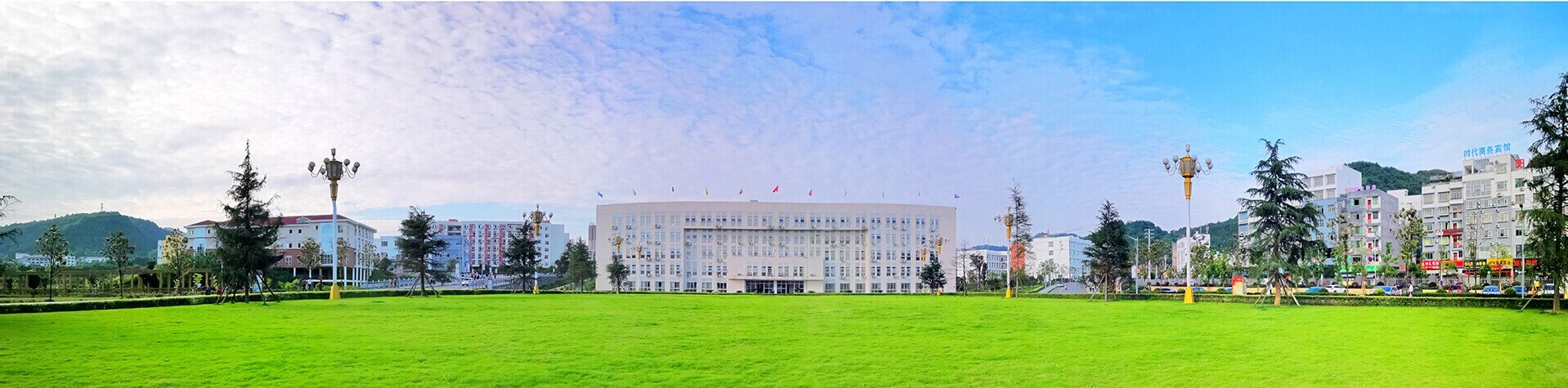 久久99精品久久久久久久不卡