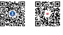久久99精品久久久久久久不卡