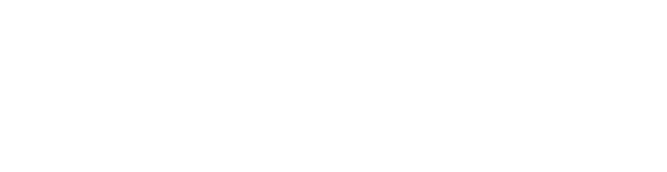 久久99精品久久久久久久不卡