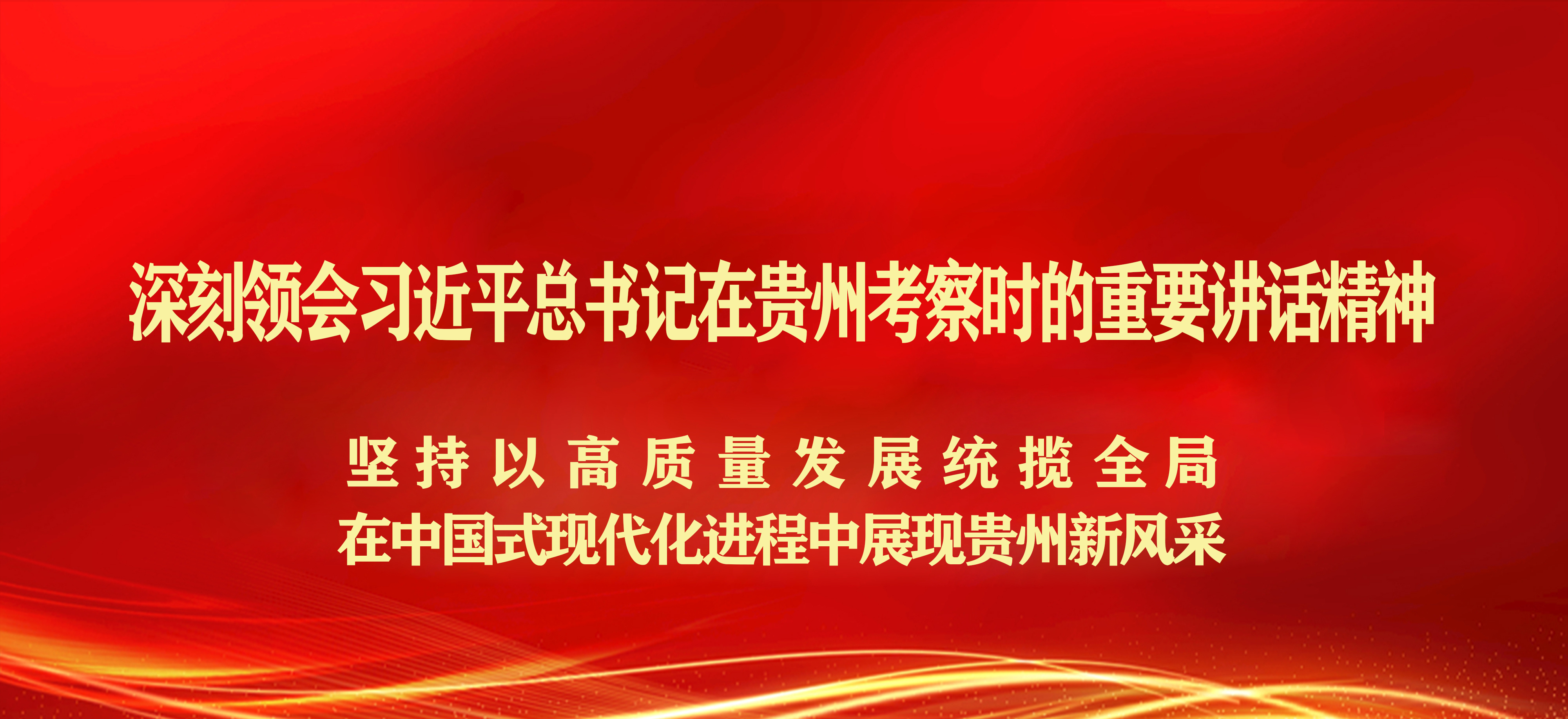 久久99精品久久久久久久不卡