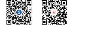 久久99精品久久久久久久不卡