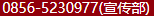 久久99精品久久久久久久不卡